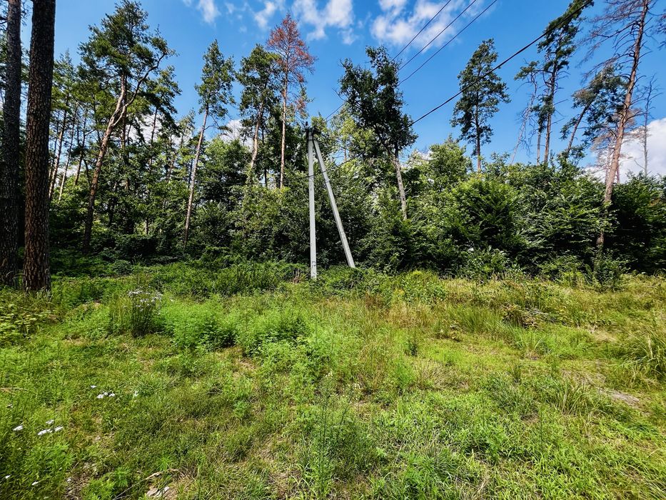 Ділянка під ваш будинок біля Лісу в Бучі! Києво-Мироцька