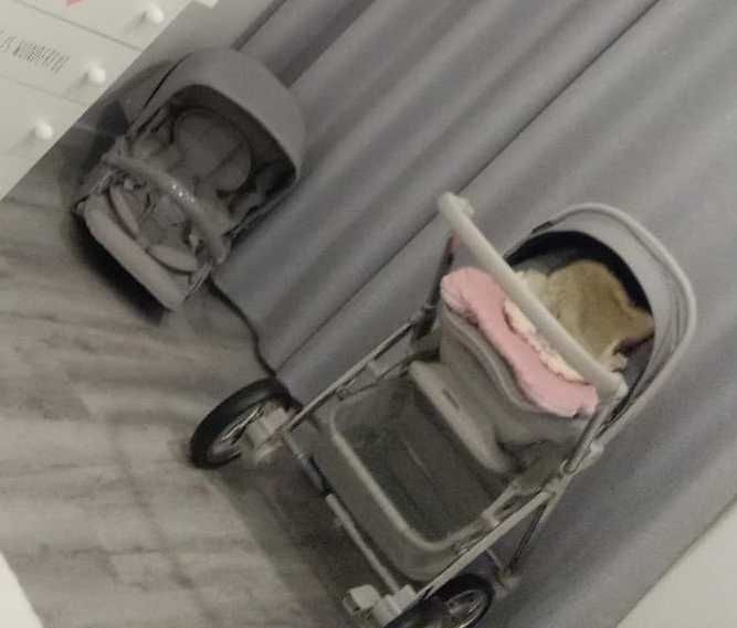 Duo Bébécar V Pack Chassis Cromado