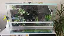 Terrarium zestaw kompletny z matą