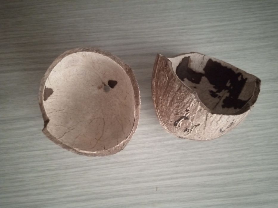 Декор для аквариума