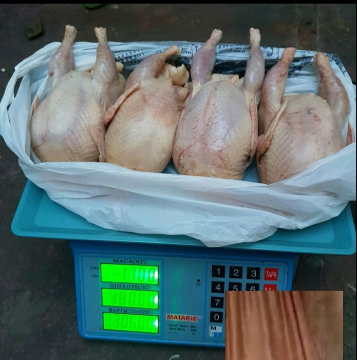 Перепелиное мясо (свежие и копчёные)