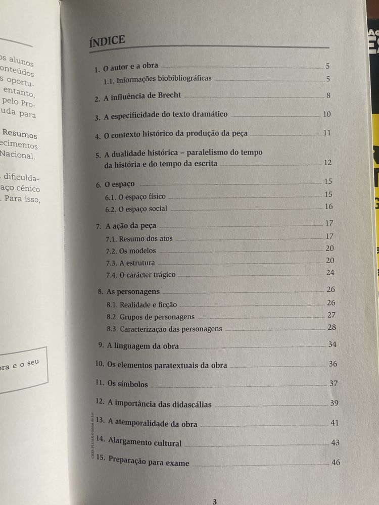 Resumo "Felizmente há luar!"