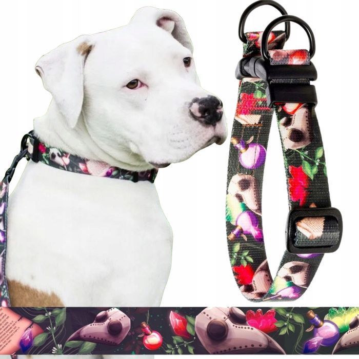 mocna obroża dla psów małych ras york szpic s 15 mm  wzorek w czaszki