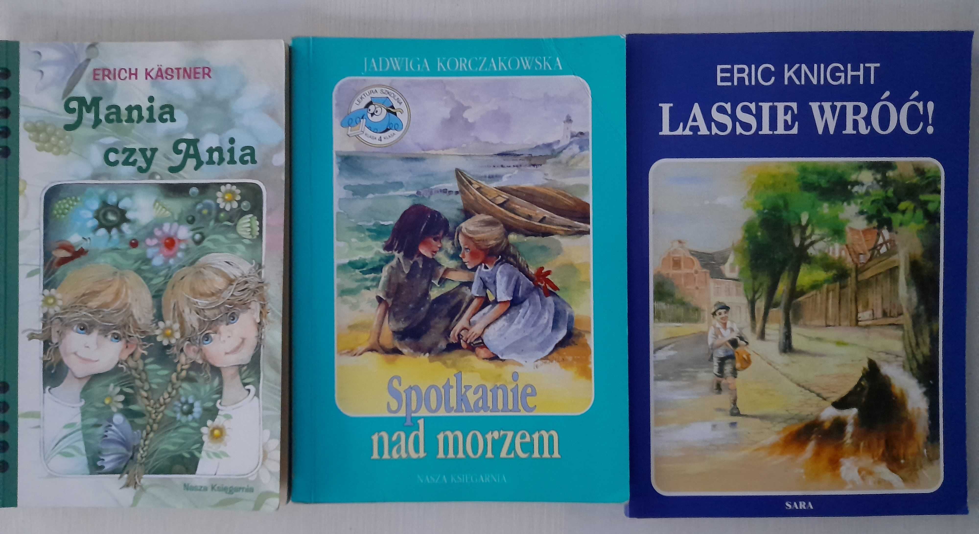 3 książki dla dzieci Mania i Ania Erich Kastner i inne