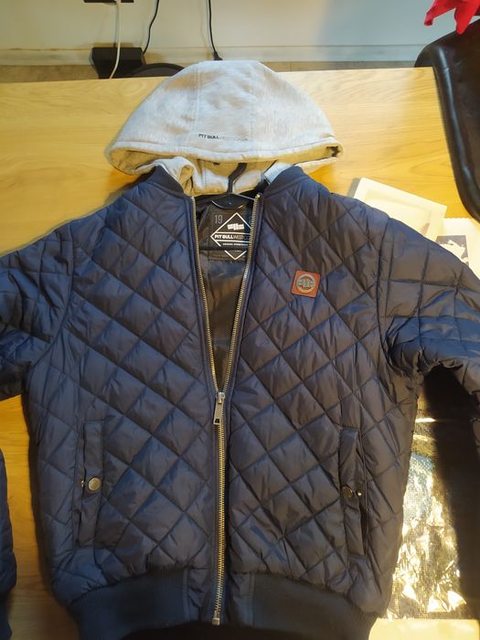 Kurtka pit bull stan dobry