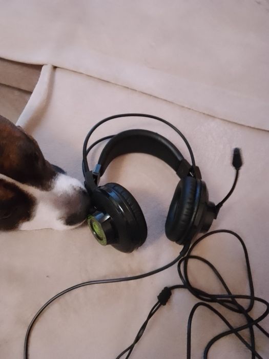 Наушники проводные с микрофоном для ноутбука/пк