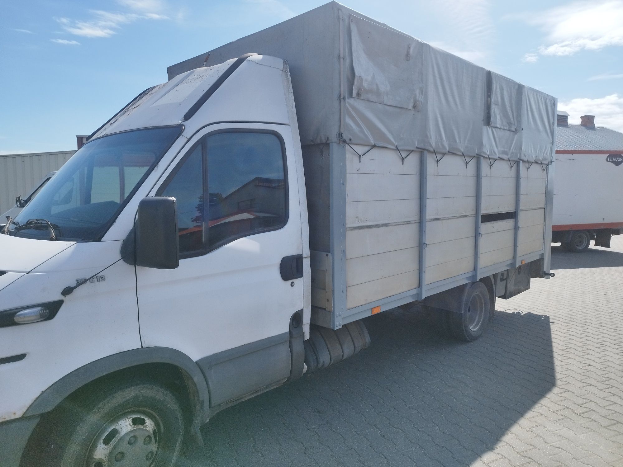 Iveco 35c13 do przewozu zwierząt bydła koni