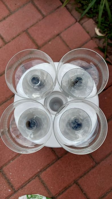 Kieliszki do szampana 4 sztuki