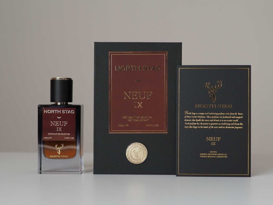 Paris Corner North Stag Neuf IX