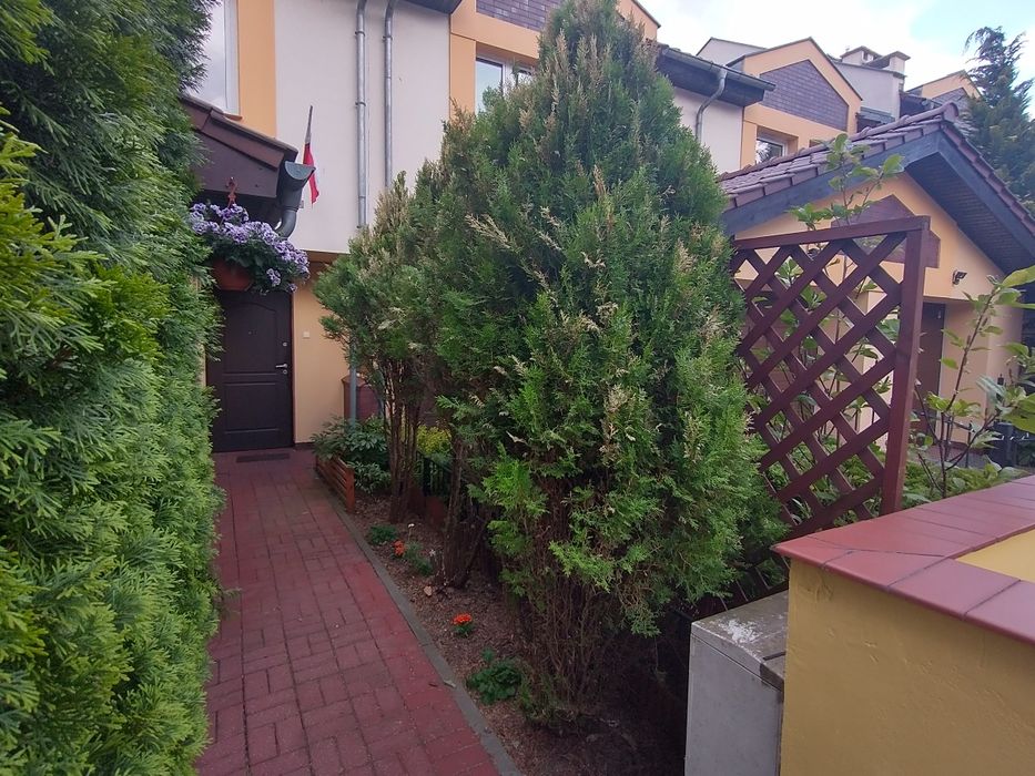 Tuje - 3 sztuki o wysokości 3 m