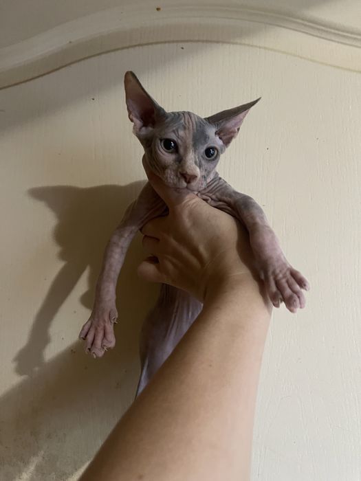 Неймовірна неземна красота