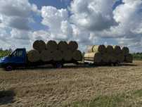 Sloma bele 120 TRANSPORT