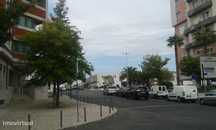 Loja Telheiras