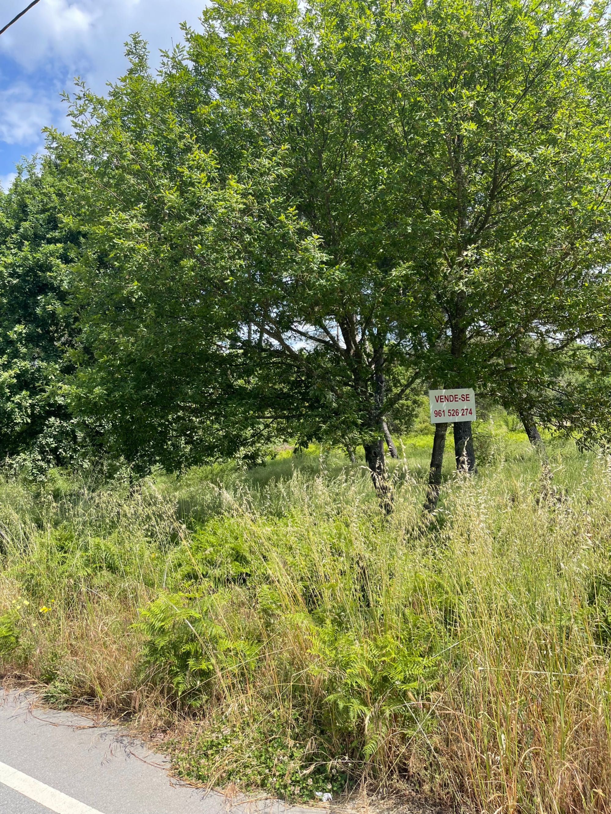 Terreno para construção em Lages 7 mil m2