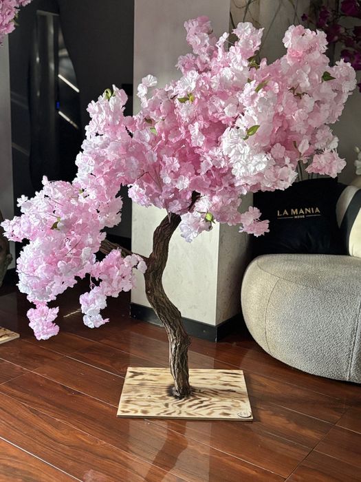 Kwitnąca niska wiśnia w stylu bonsai 120cm