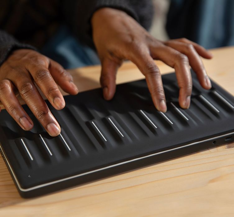 Roli seaboard M estado Novo