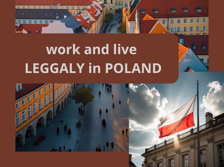 Wiza do Anglii, Limosa , A1, PESEL, Zezwolenie na pracę, PESEL, audyt