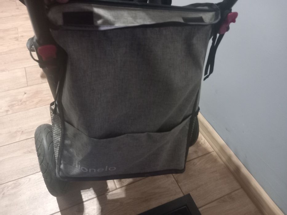 Rowerek lionelo tris