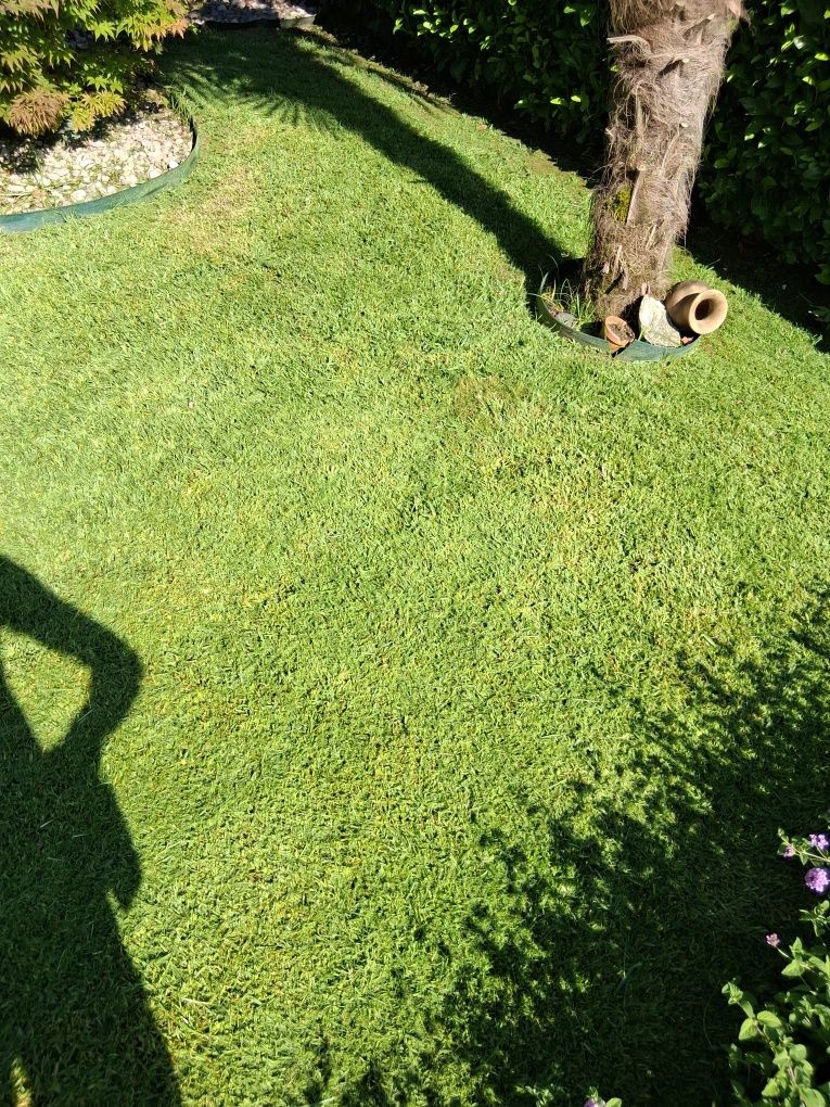 Jardineiro ao seu dispor