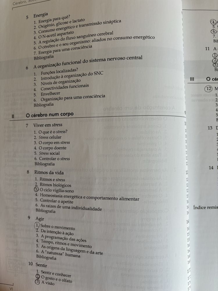Livro “Cérebro, Saúde e Sociedade”