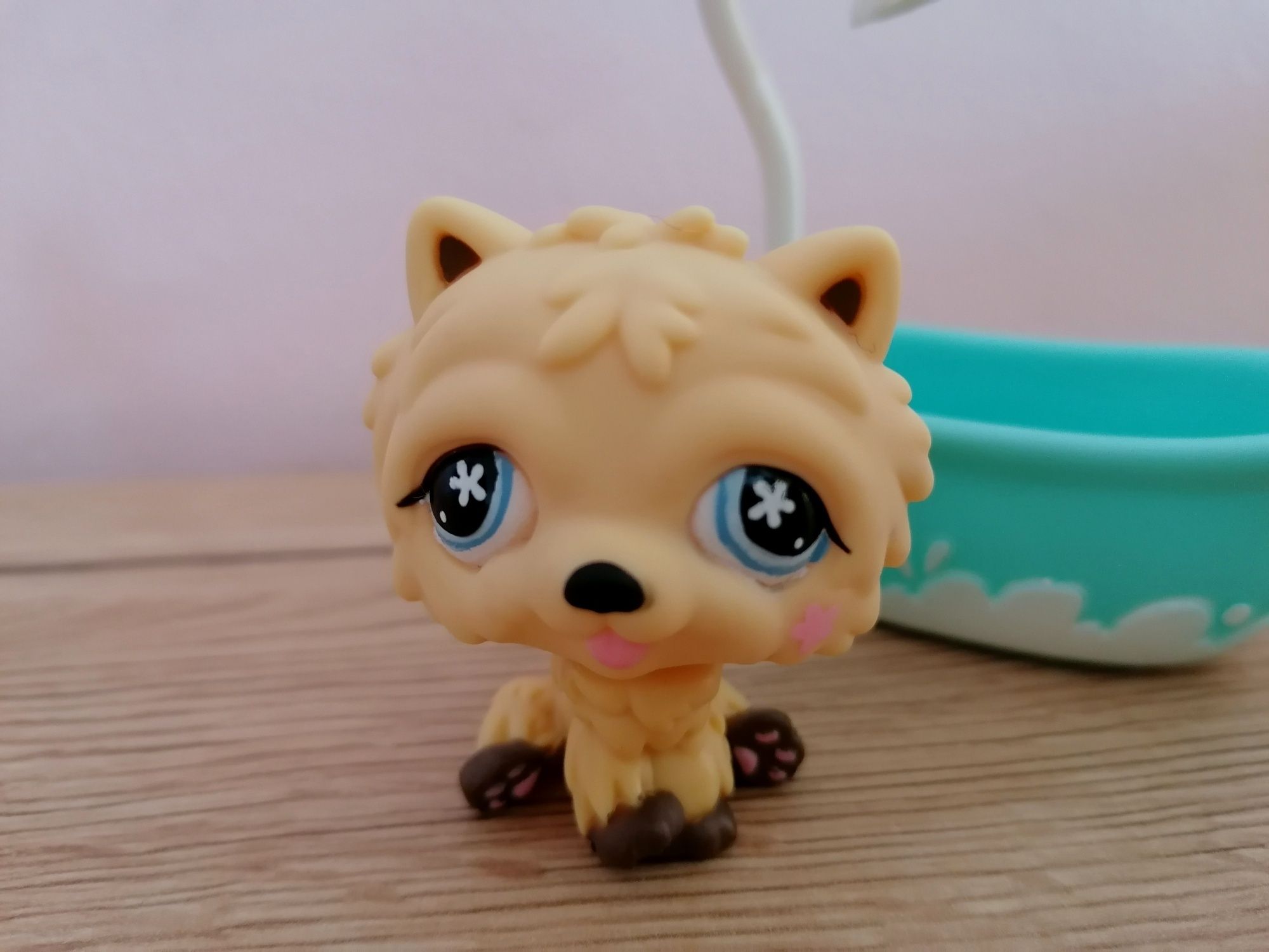 Littlest pet shop lps unikatowy piesek chow chow