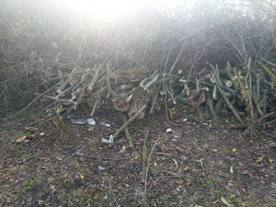 Дрова твердых пород дрова твердих порід зі своєї земельної ділянки