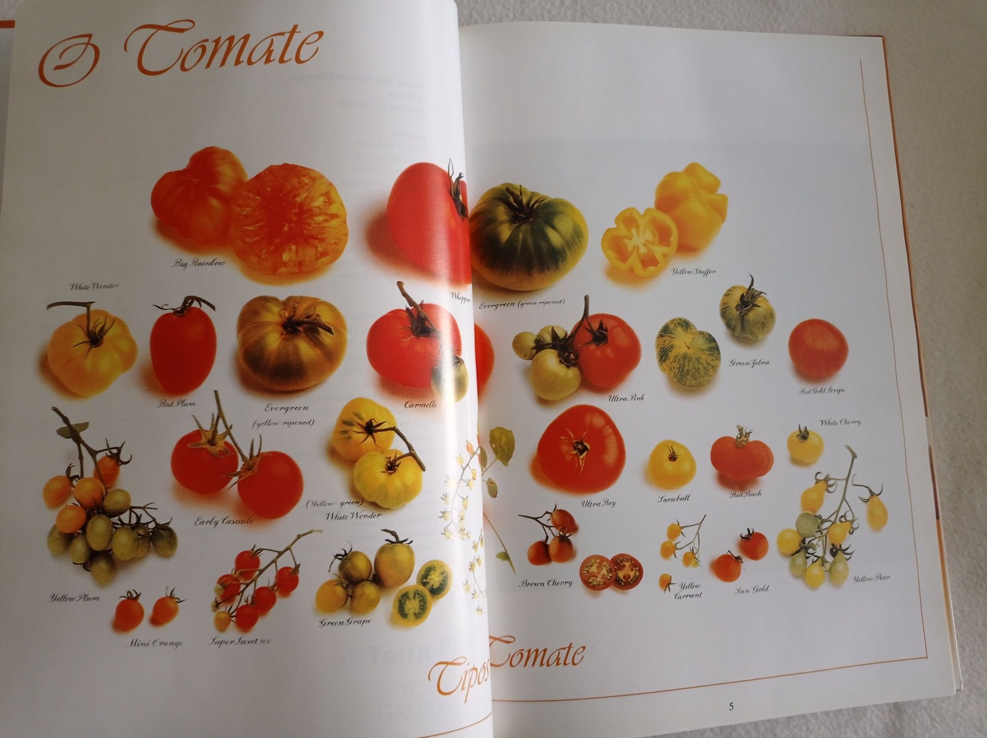 O grande livro do tomate - Mário Varela soares