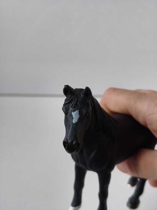 Коні шляйх. Кінь. Лошадь.