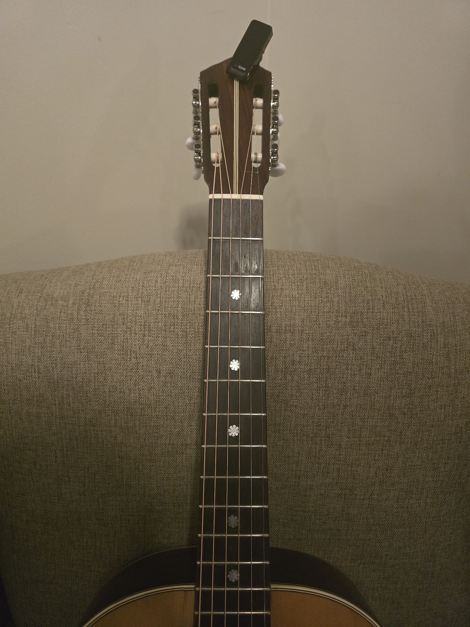 Viola de Fado João Pedro Gracio Junior
