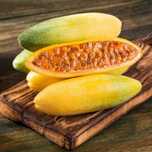 5 Sementes de Maracujá Banana Curuba - passiflora mollissima