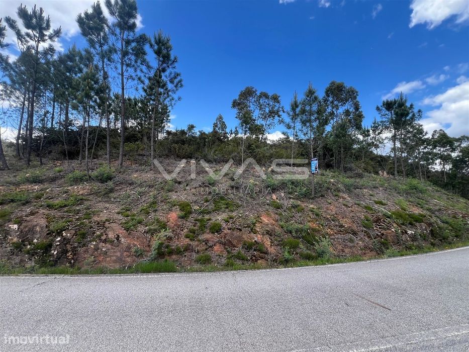 Terreno  Venda em Arnóia,Celorico de Basto