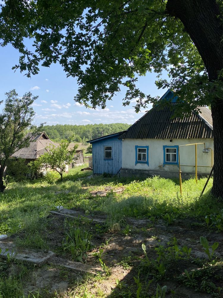 Хатинка + Струмок, с. Красное Первое, м. Обухів 3км, м. Київ 35км.