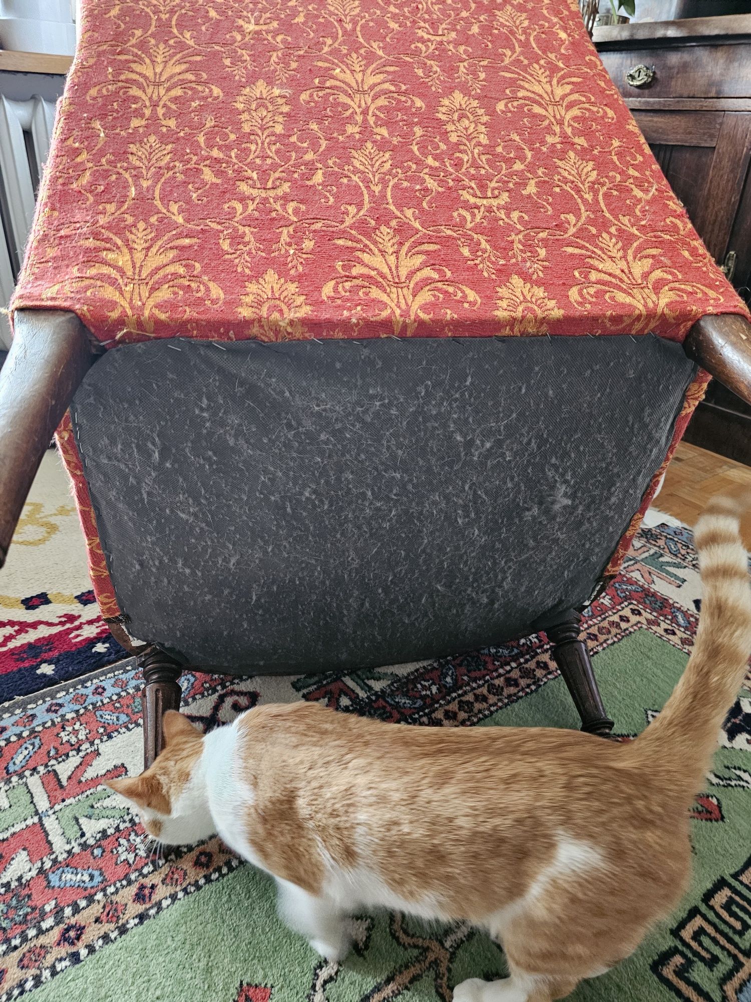 Fotel Ludwik z nową tapicerką