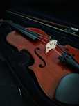 Violino Profissional 3/4 de fabrico alemão