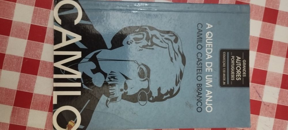 Camilo castelo branco - a queda de um anjo