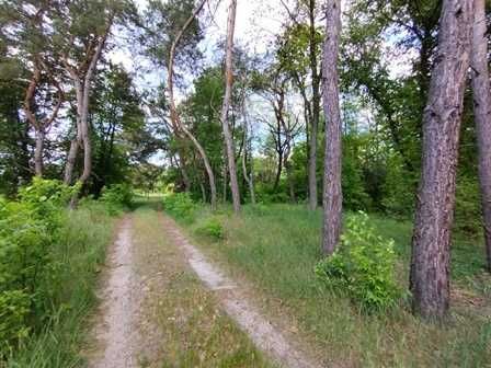 Ділянка під забудову в Лісі