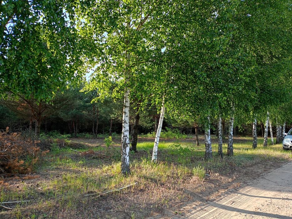 Działka rekreacyjna 1714m2 z MPZP