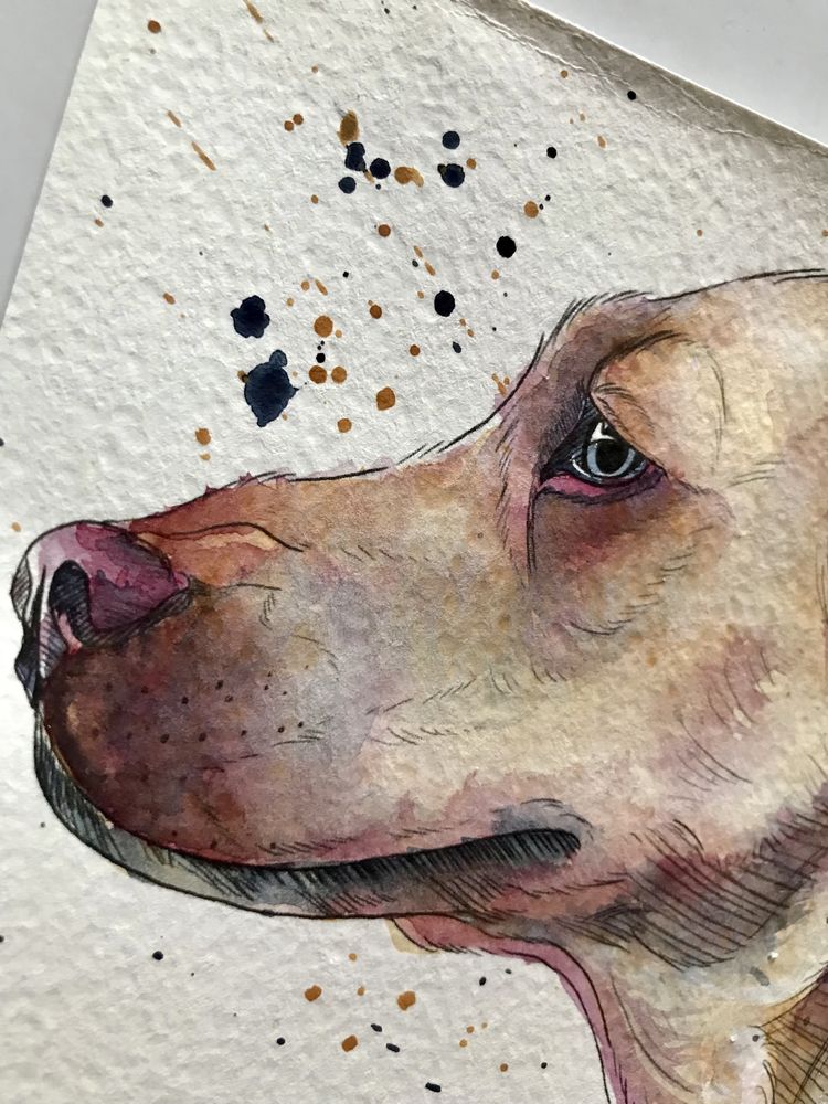 Własnorecznie malowany obraz akwarelowy A5 - Pies handmade