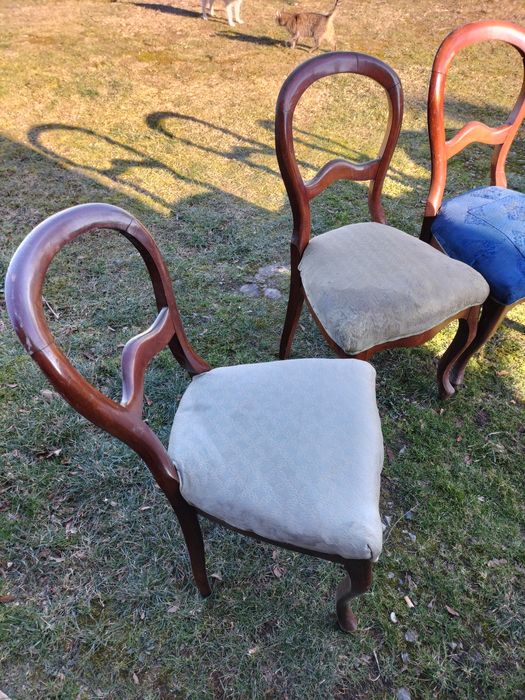 Krzesła stare ludwiki