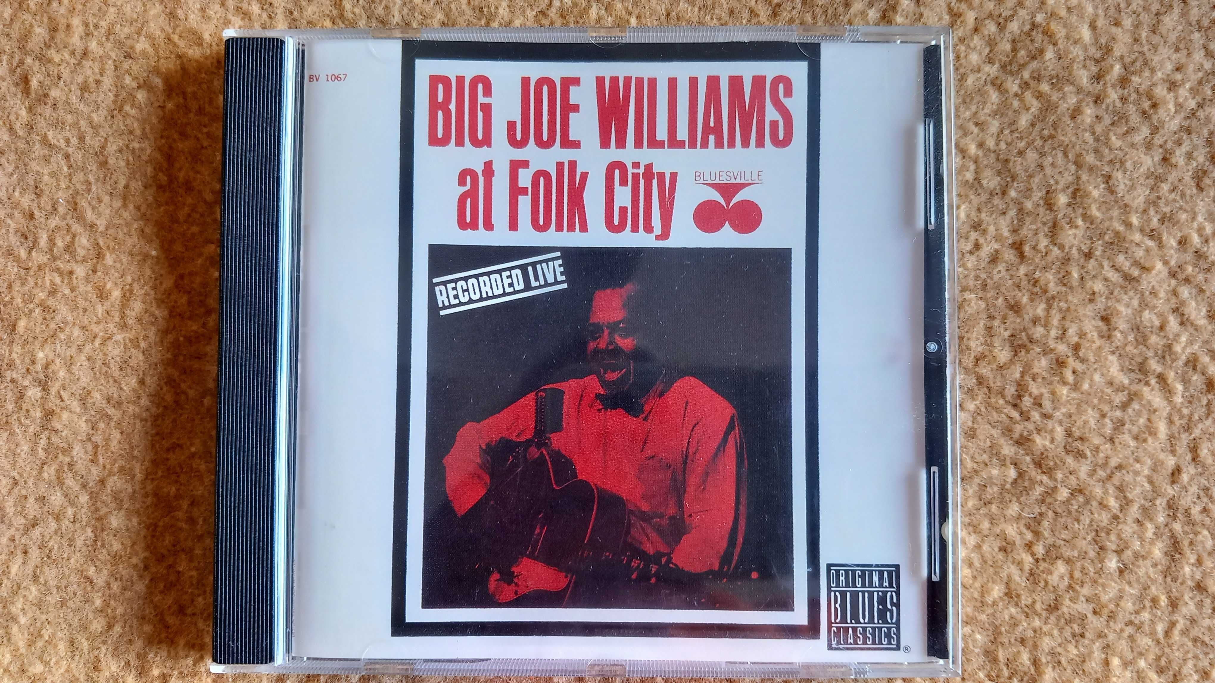 Big Joe Williams at Folk City