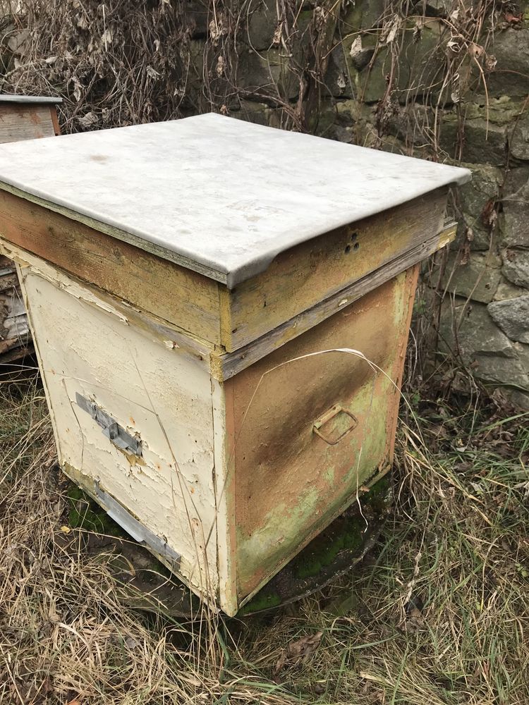 Улики для пчёл собственного изготовления