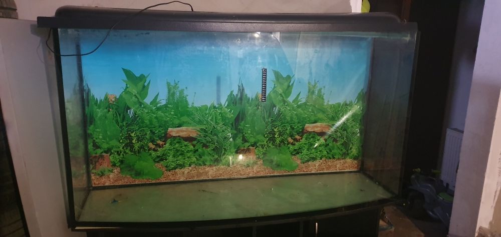 Аквариум + тумба + фильтр