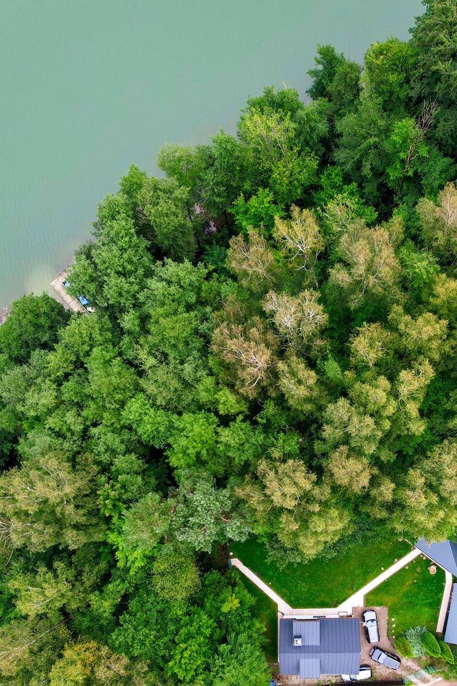 Kaszuby domek nad jeziorem | las | woda | wielki Rower wodny | SUP
