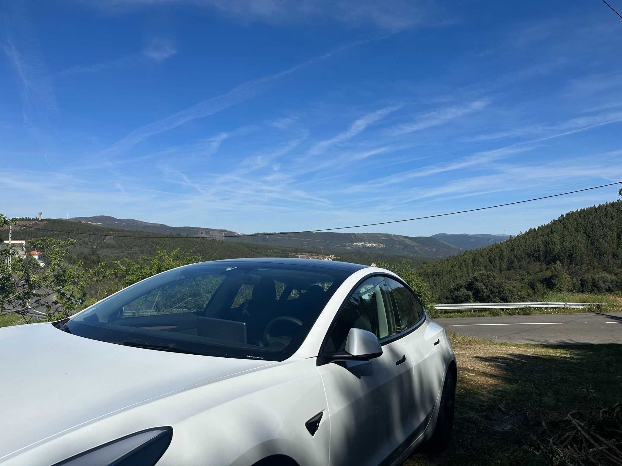 RESERVADO Tesla Model 3 Standard Range Plus – 325cv motor Performance