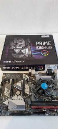 Asus PRIME B365-PLUS 6xPCI-e+Intel Core i5 8400+RAM DDR4 Crucial 8 GB