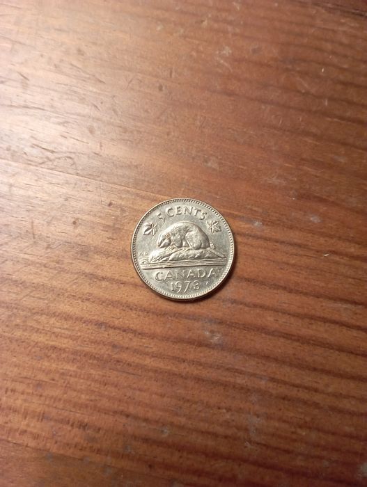 Moeda antiga 5 cêntimos dólar Canadá