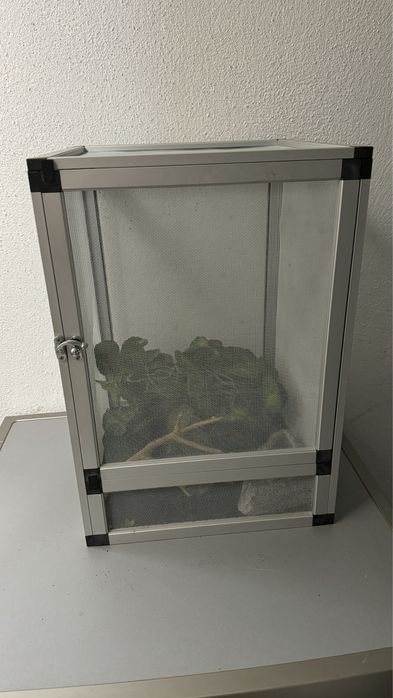 Flexario 50cm x 40cm