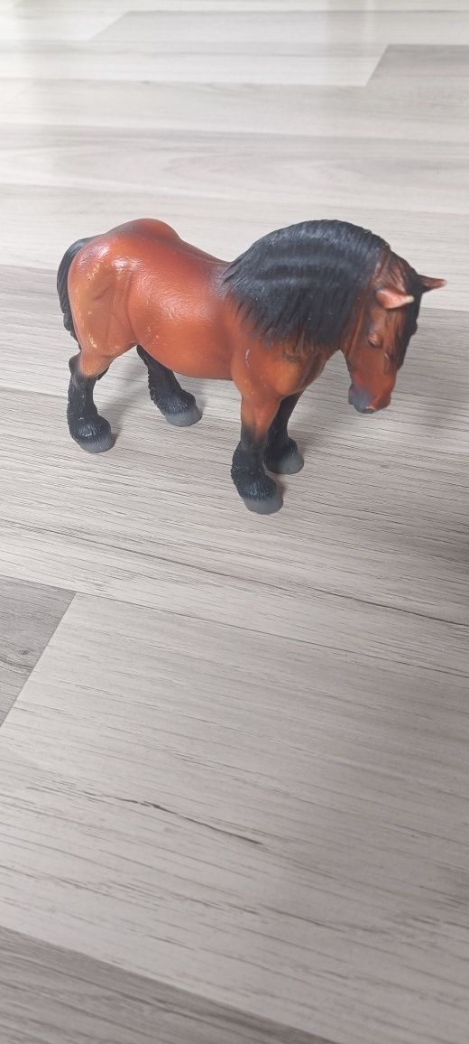 Konik Collecta na sprzedaż