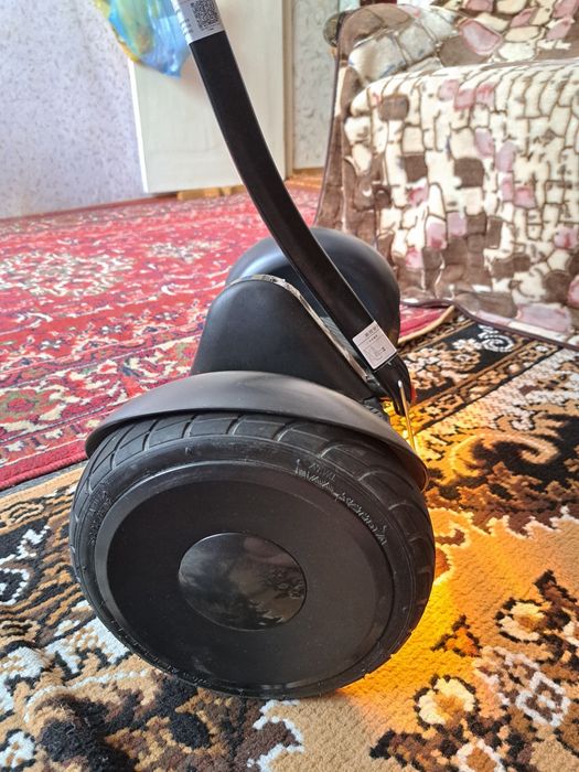 Сигвей   Ninebot