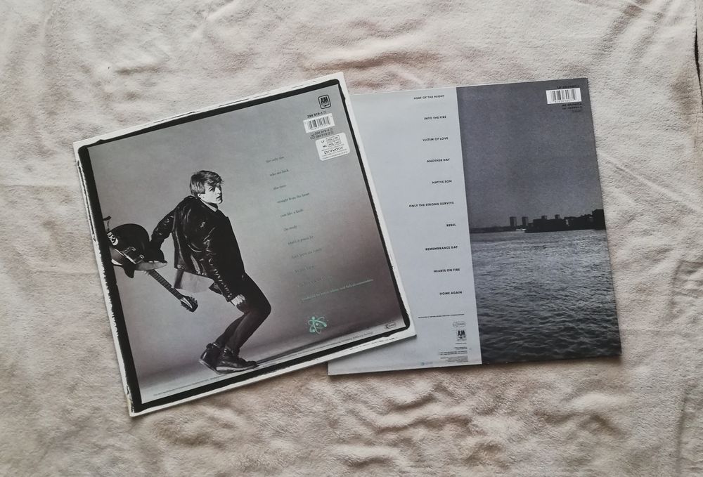 Bryan Adams / 2 Albums